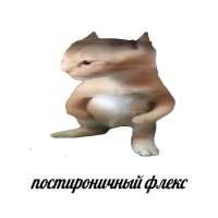 700x700