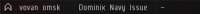 298x22