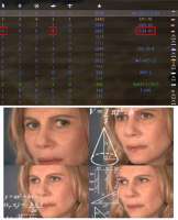521x640