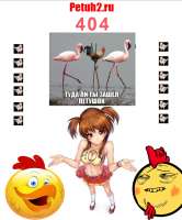 786x945