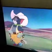 360x360