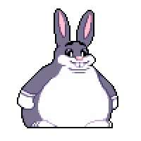200x200