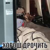 360x360