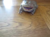 480x360