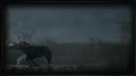 197x110
