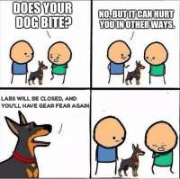 500x498