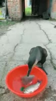 360x640