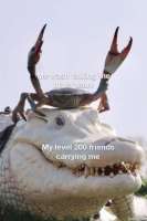 310x466