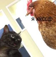 609x622