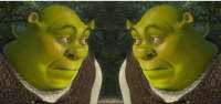 726x343