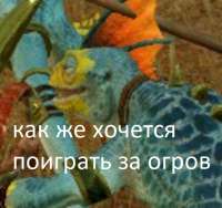 509x480