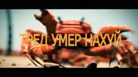 1280x720
