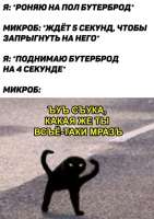 427x604