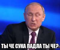 454x378