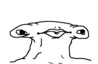 277x182