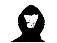 259x195