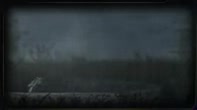 197x110
