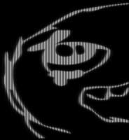 277x300