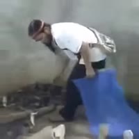 360x360