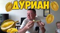 600x337