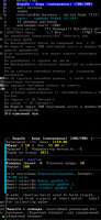 432x934