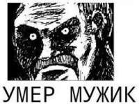 259x195