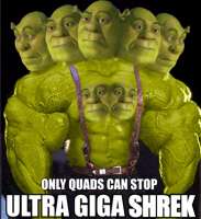 392x428