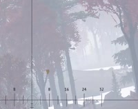 496x396