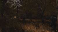 1916x1076