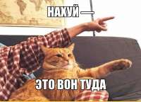 600x434