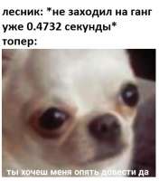 448x508
