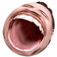 900x900