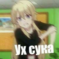 528x524