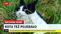 720x405