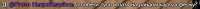 595x29