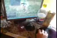 320x214