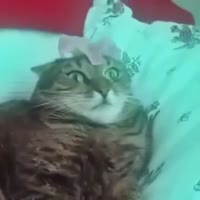360x360