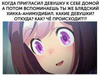 1080x813