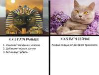 650x496