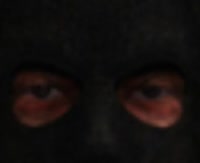 390x318