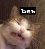 373x399