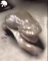360x450