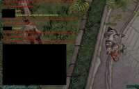 593x380