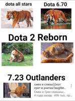 529x710