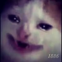 480x480