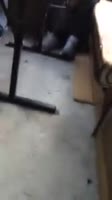 202x360