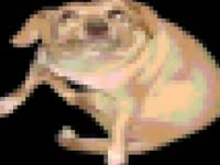 480x360