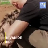 360x360