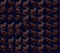 562x499