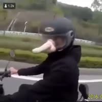 320x320